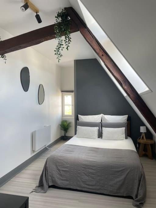 Duplex Bord De L'Eure - Parking Inclus - Jolie Vue Sur La Cathedrale Apartment Chartres Ngoại thất bức ảnh