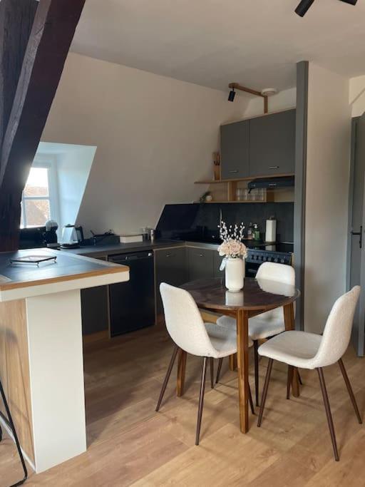 Duplex Bord De L'Eure - Parking Inclus - Jolie Vue Sur La Cathedrale Apartment Chartres Ngoại thất bức ảnh
