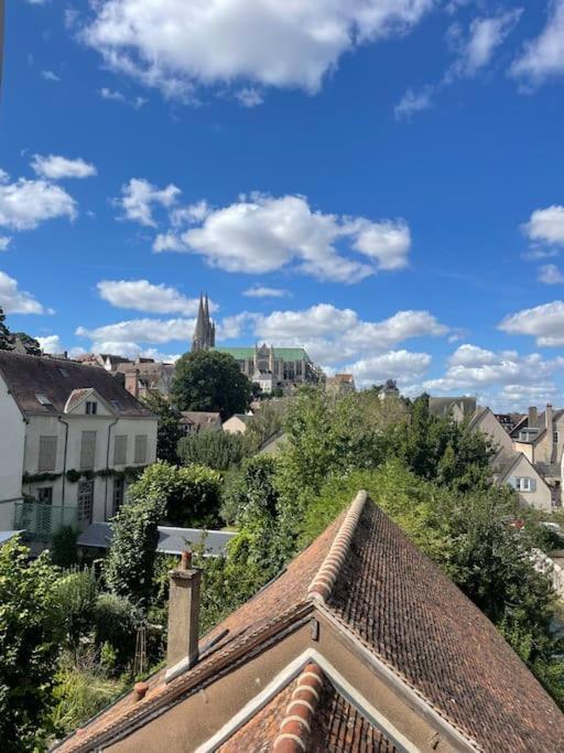 Duplex Bord De L'Eure - Parking Inclus - Jolie Vue Sur La Cathedrale Apartment Chartres Ngoại thất bức ảnh