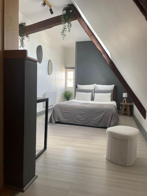 Duplex Bord De L'Eure - Parking Inclus - Jolie Vue Sur La Cathedrale Apartment Chartres Ngoại thất bức ảnh